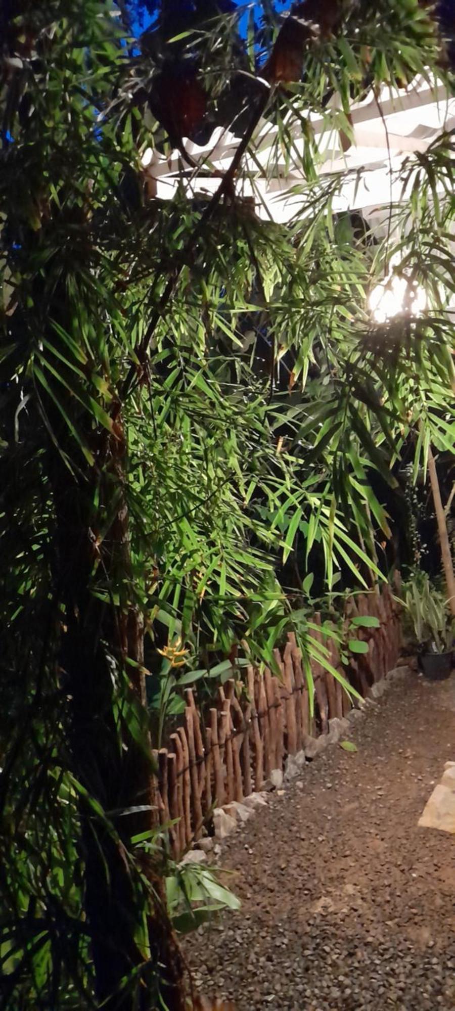 דיקוולה Linu Homestay מראה חיצוני תמונה