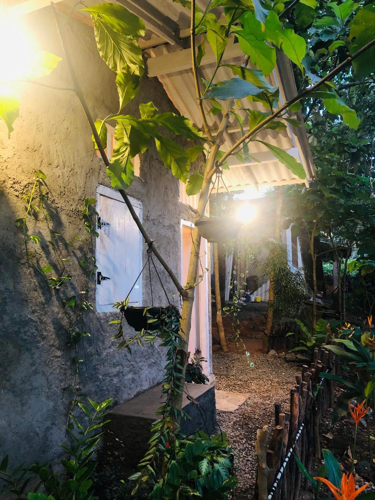 דיקוולה Linu Homestay מראה חיצוני תמונה