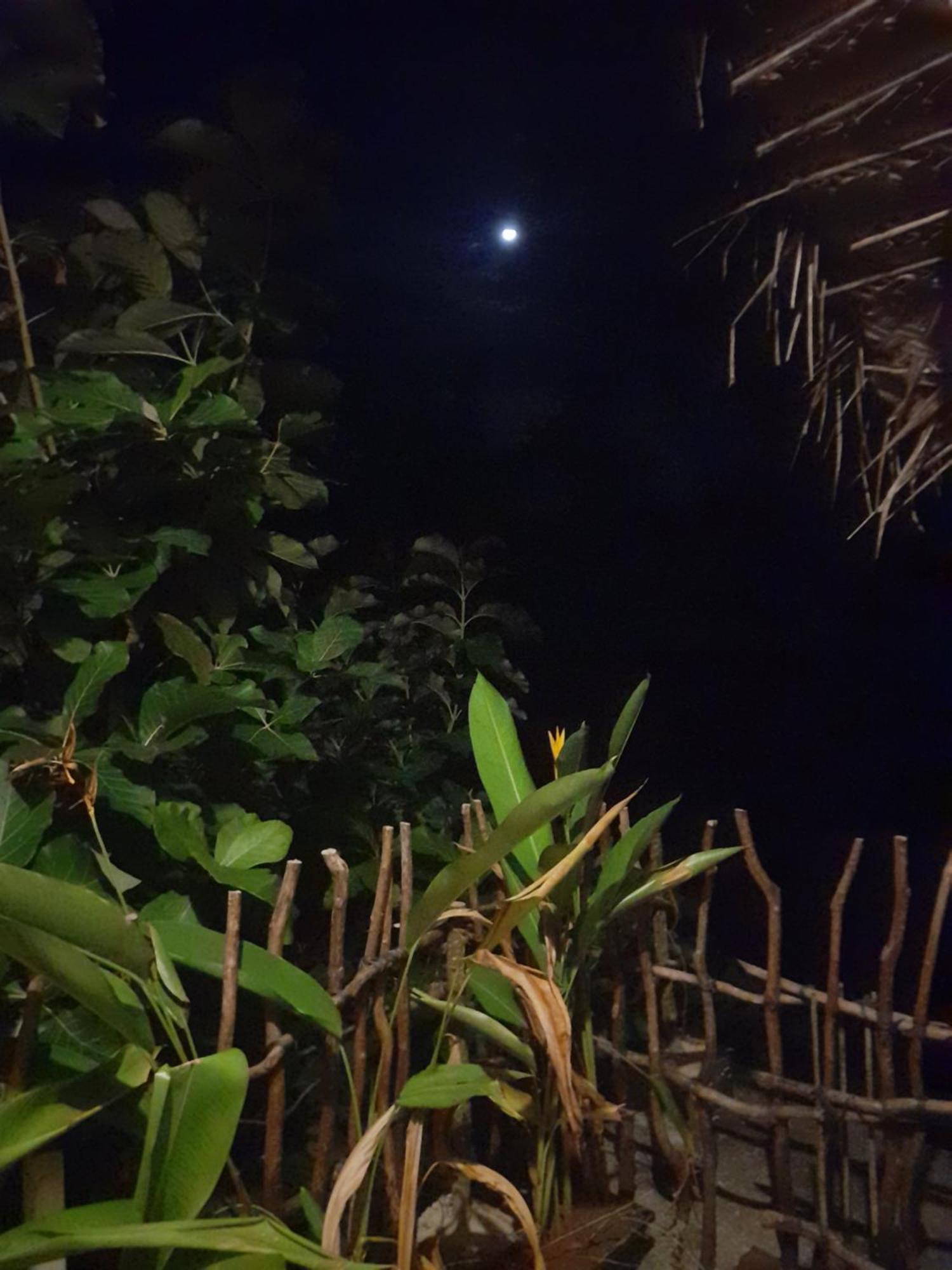 דיקוולה Linu Homestay חדר תמונה